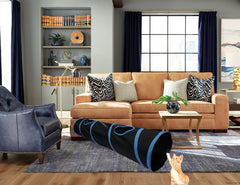 iCAGY cat tunnel interior cat playing emphasizes interactive hide-and-seek fun