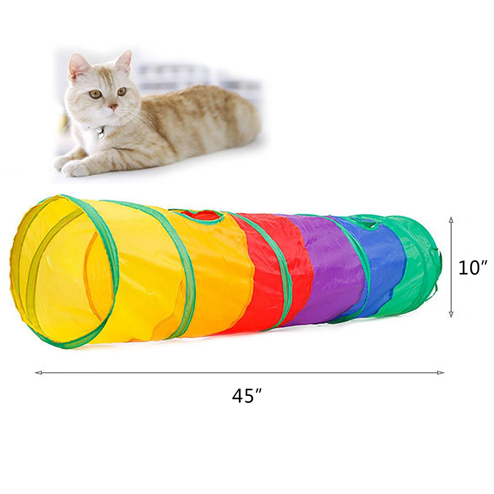 iCAGY Cat Tunnel rabbit exploration demonstrates versatile small-pet engagement.