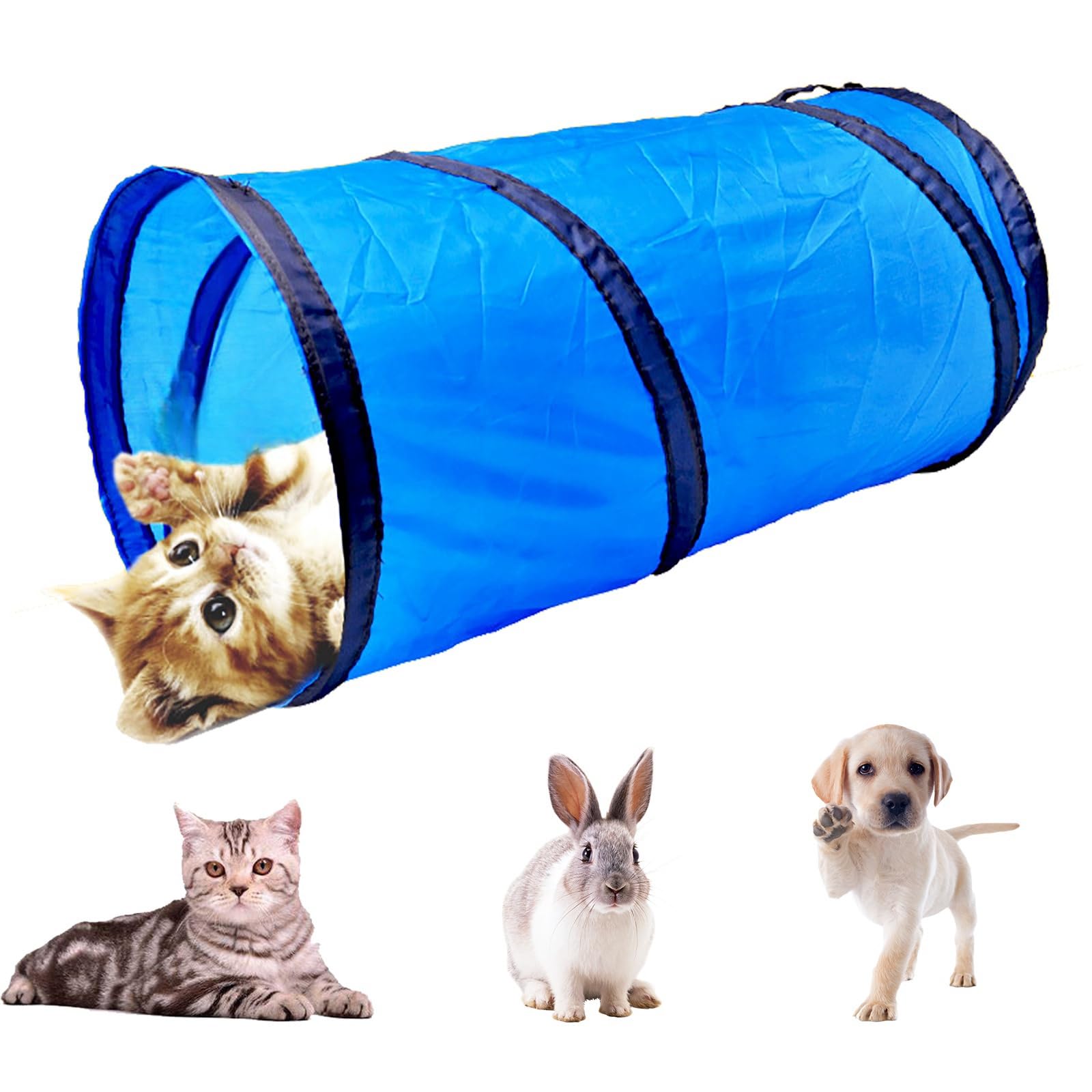iCAGY Foldable Spiral Cat Tunnel sparks kittens' curiosity and activity during play