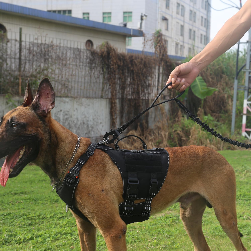 ICEFANG correa de perro con manijas dobles para mayor control en zonas concurridas.