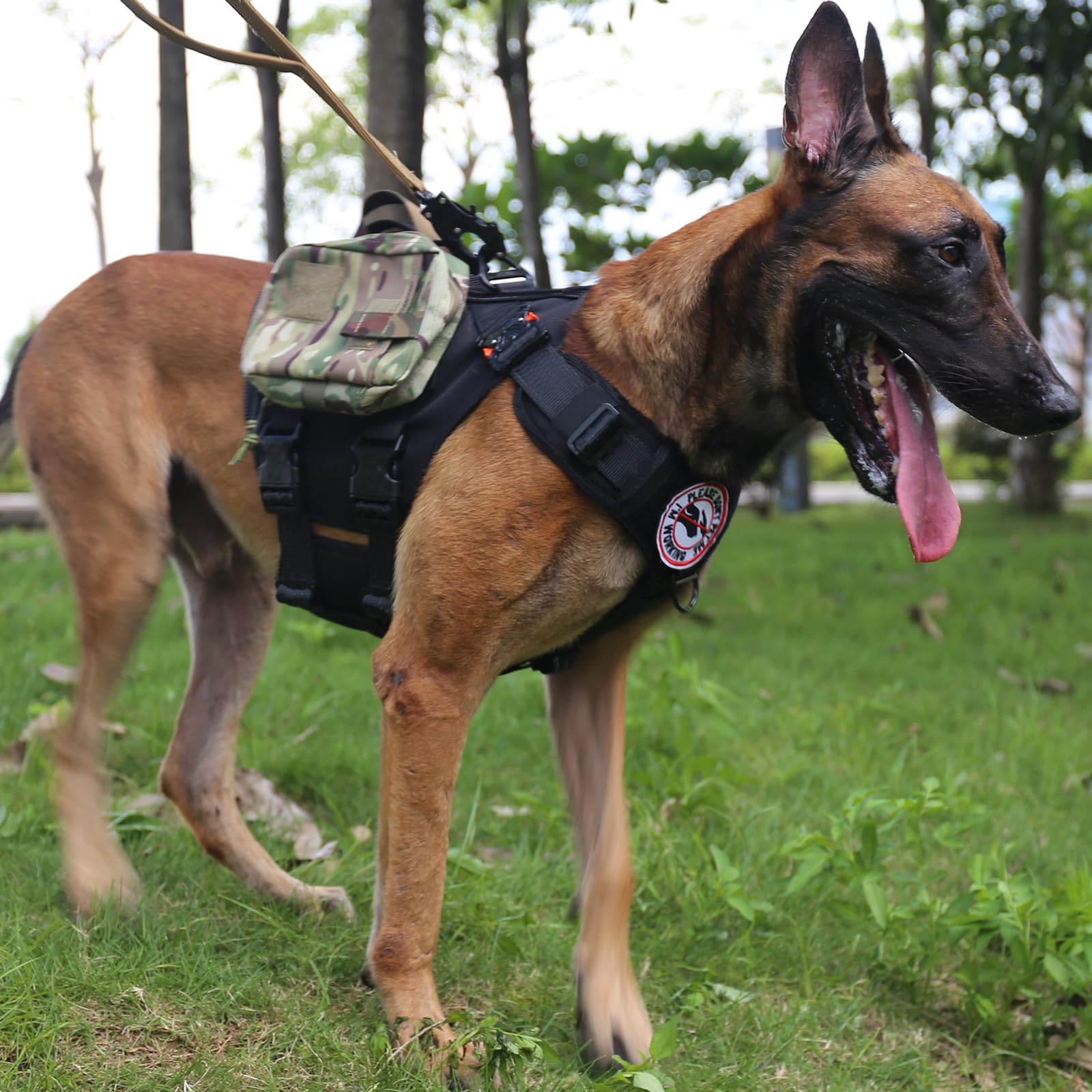ICEFANG GN3 harness adjustable points highlight customizable fit