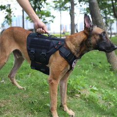 ICEFANG GN3 harness back view highlights leash clip and handle