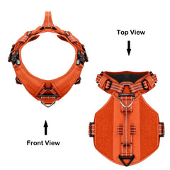 ICEFANG GN8 harness shows five adjustment points for a snug fit