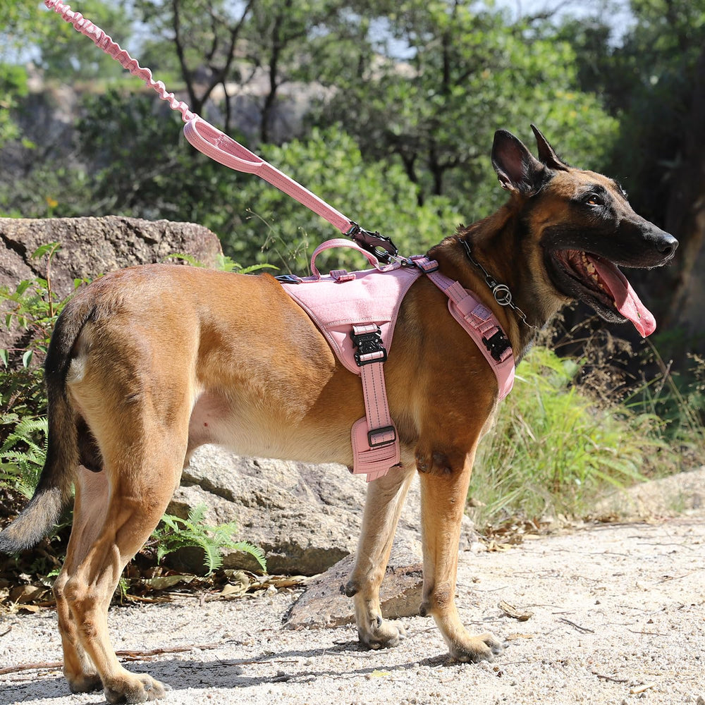 ICEFANG GN8 pink side-fit demonstrates snug adjustable fit for comfortable movement