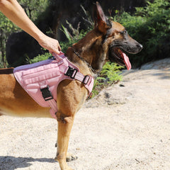 ICEFANG harness close-up of front chest clip for easy anti-pull control during walks.