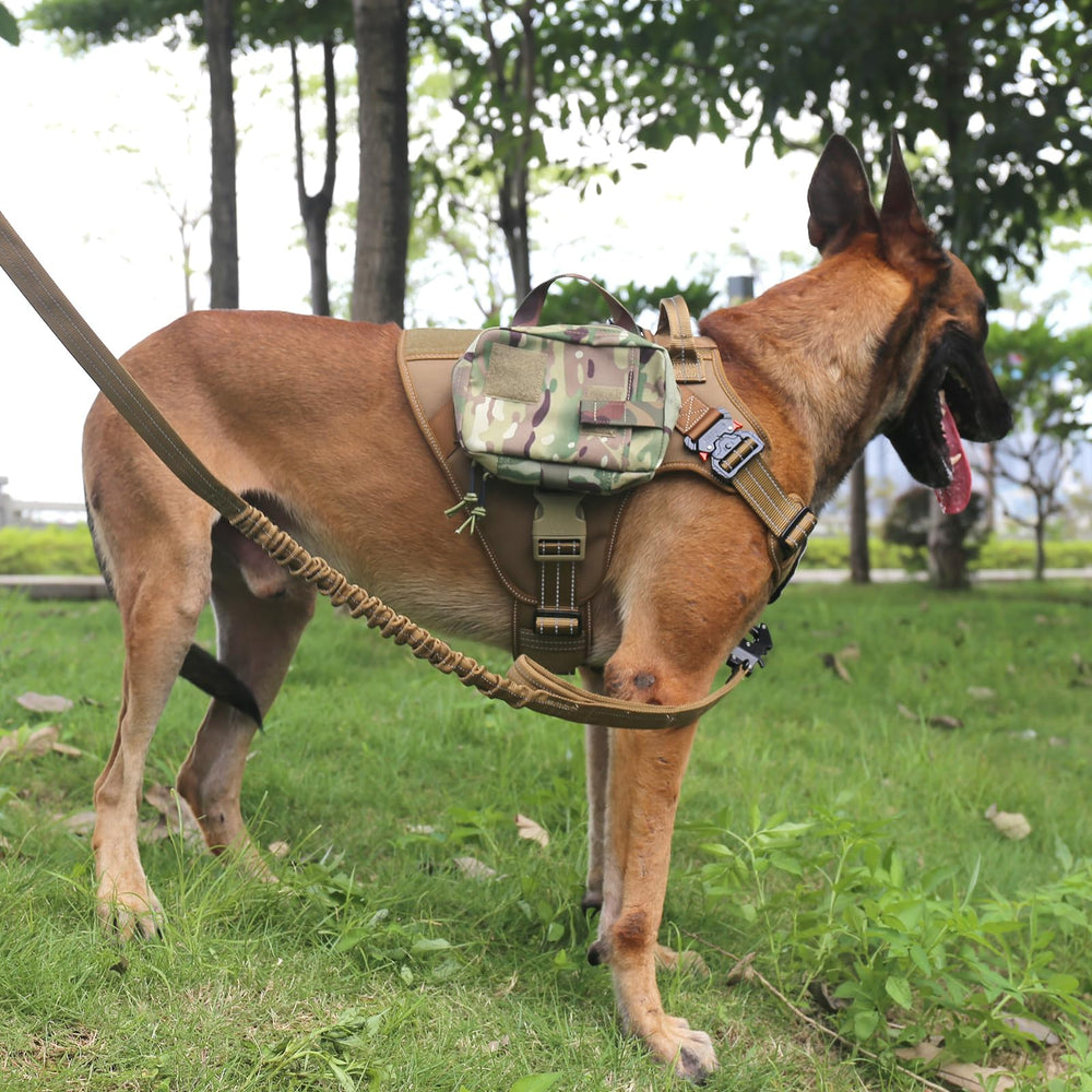 ICEFANG Tactical Dog Harness front patch area features loop panels for visibility.