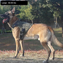 ICEFANG Tactical harness large side MOLLE panel demonstrates gear-ready design for training or hiking.