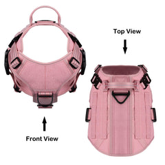 ICEFANG MOLLE panels on harness enable gear attachment for training and adventures.