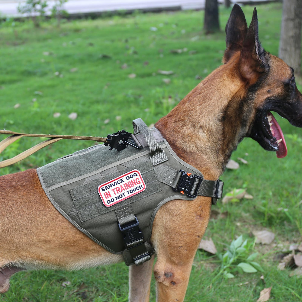 ICEFANG Tactical harness patch area highlights customization with patches and identifiers.
