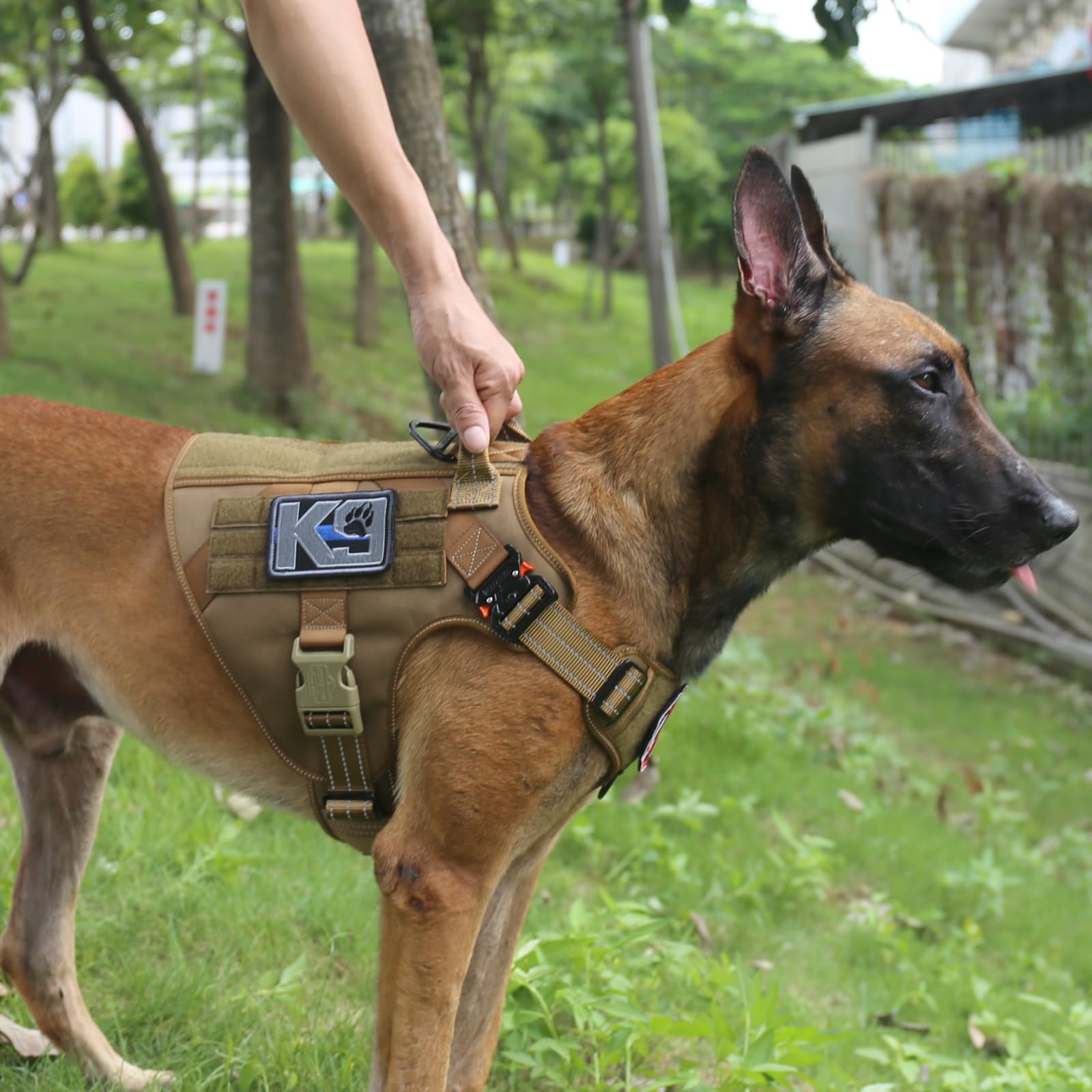 ICEFANG Tactical Dog Harness side MOLLE panel supports gear-ready training adventures.