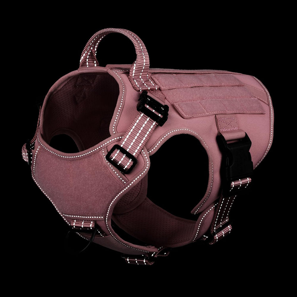 ICEFANG size chart reference helps achieve precise, comfortable fit for your dog.