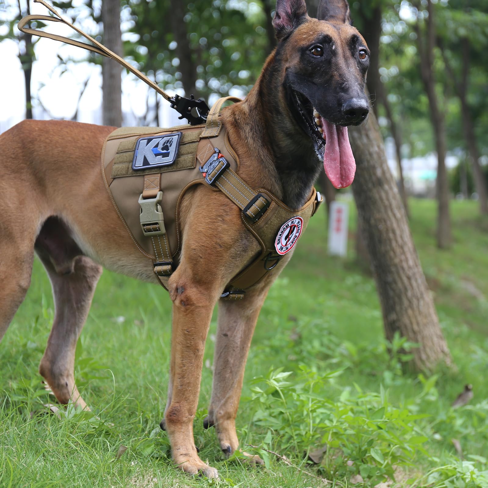 ICEFANG Tactical Dog Harness worn outdoors demonstrates front anti-pull D-ring in action.