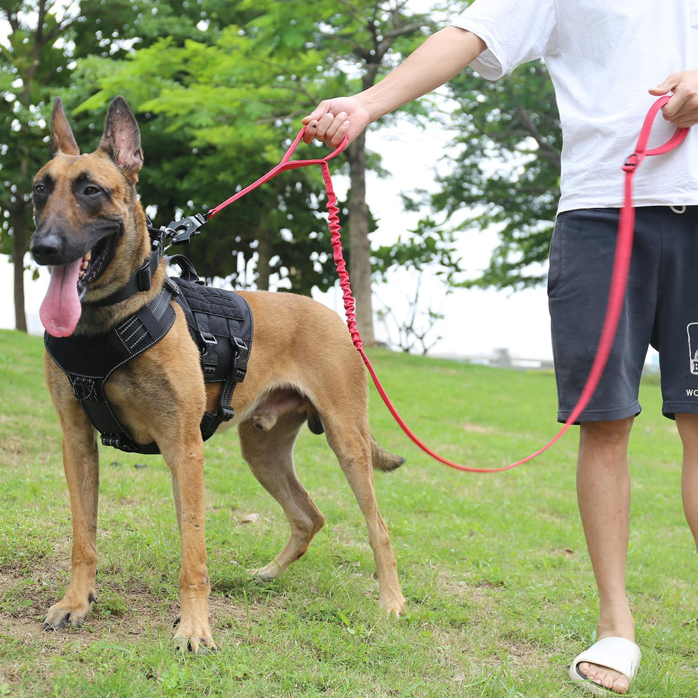 ICEFANG Tactical Dog Leash double handles for precise control in crowds.