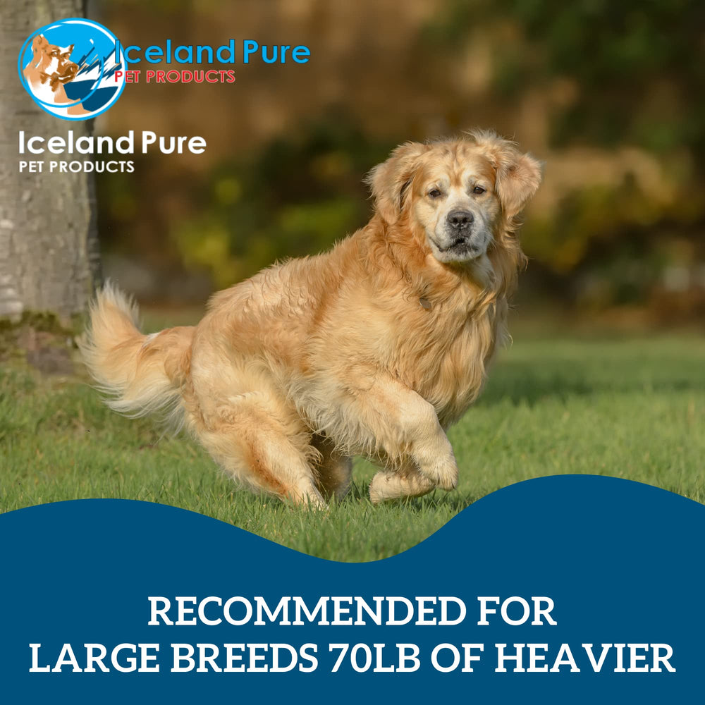 Iceland Pure Premier Omega-3 bottle with clear labeling supports skin and coat health.
