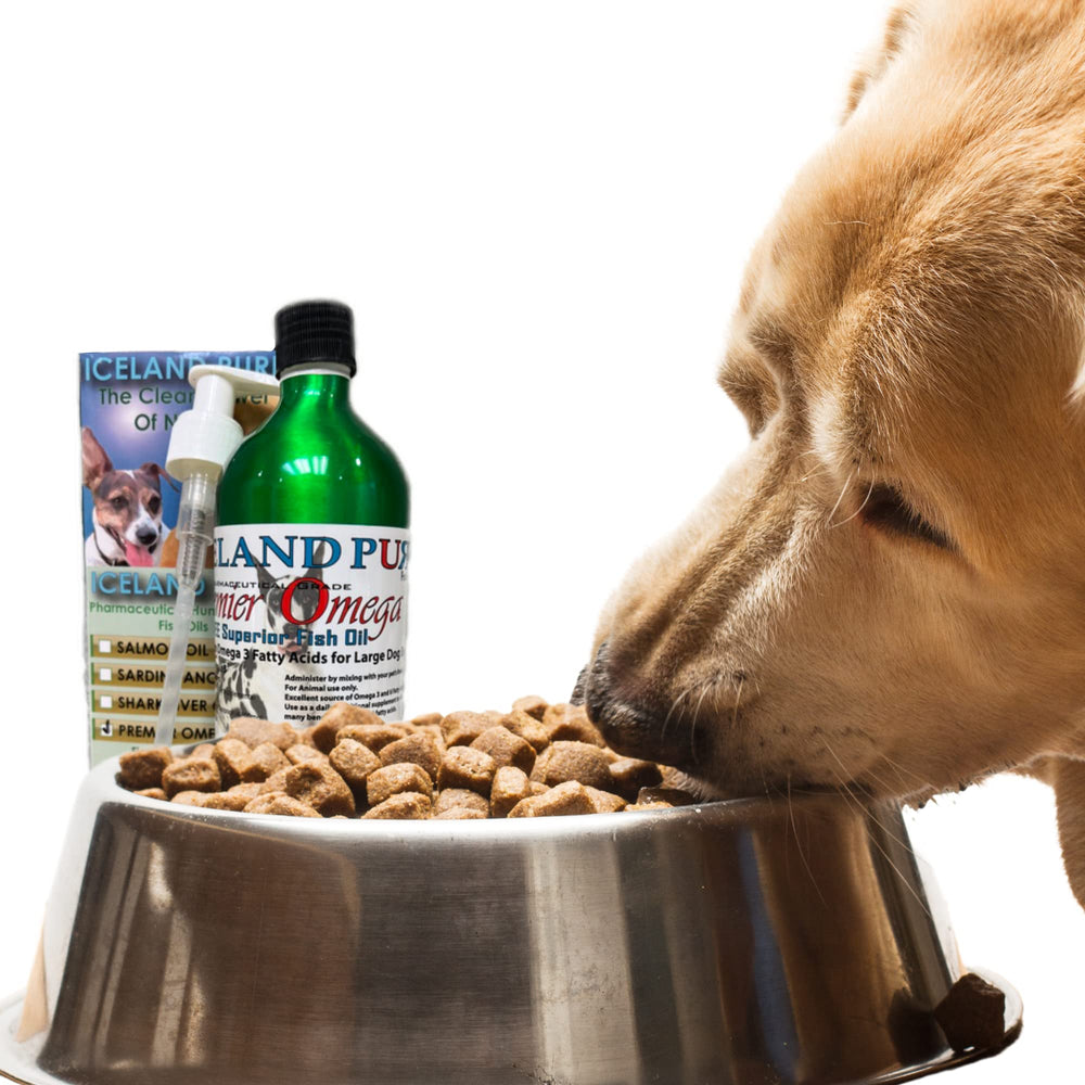 Iceland Pure Premier Omega-3 testing seal denotes purity and mercury-free content.