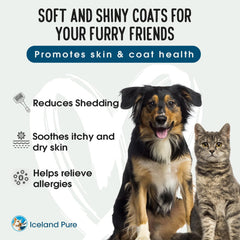 Iceland Pure Salmon Oil added to cat meals supports skin and coat health.