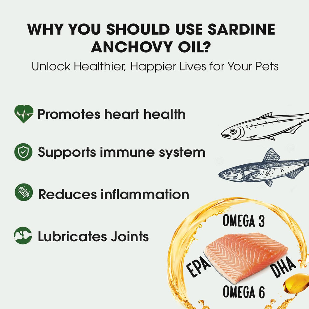 Iceland Pure Sardine Anchovy Oil in BPA-free brushed aluminum bottle ready for easy pumping.