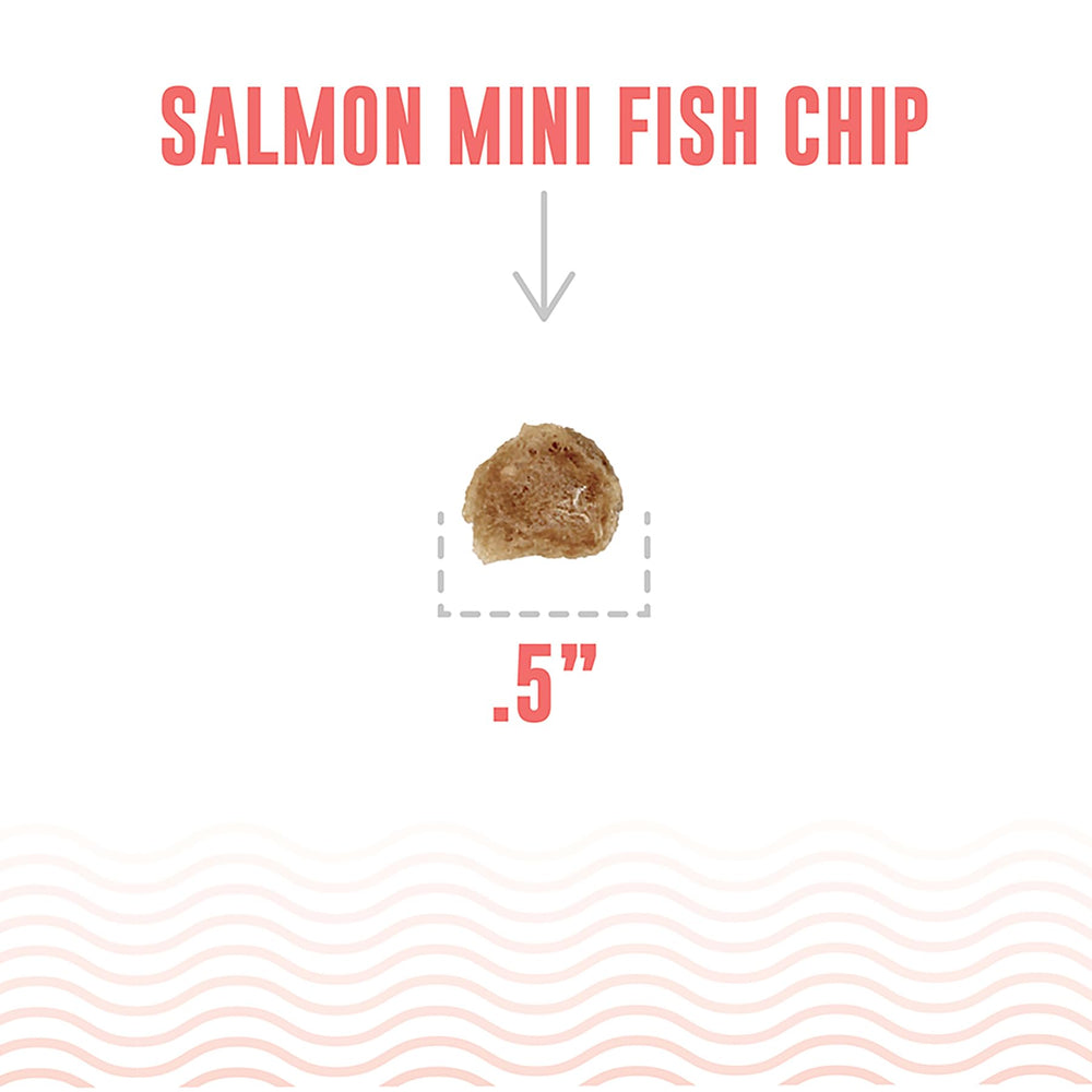 Icelandic+ Mini Fish Chips two-ingredient closeup of salmon and pollock.