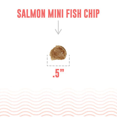 Icelandic+ Mini Fish Chips two-ingredient closeup of salmon and pollock.