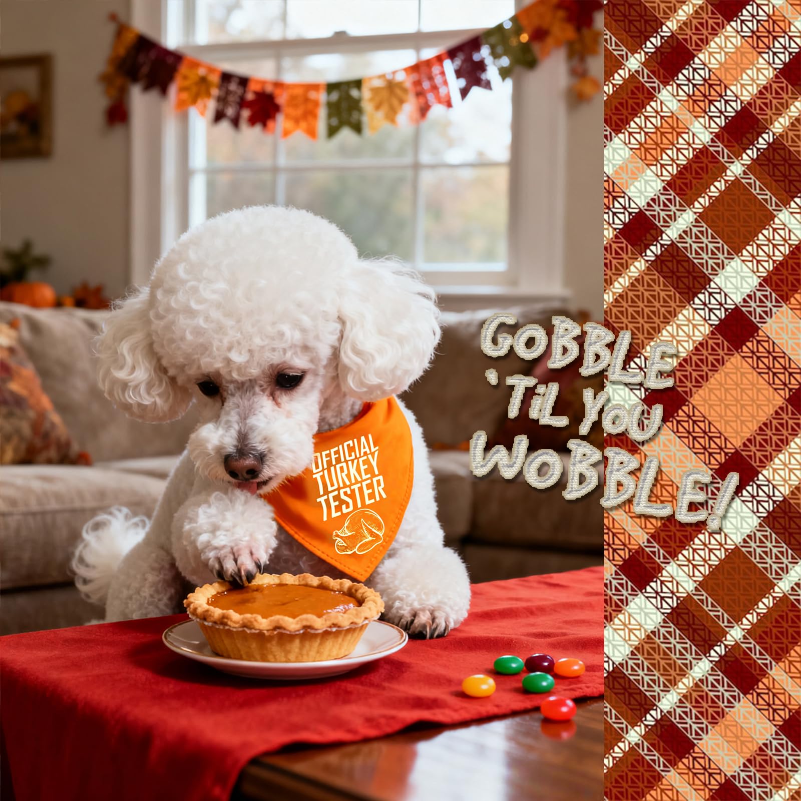 ICEMOOD fall look promotes seasonal styling for dogs during holidays.