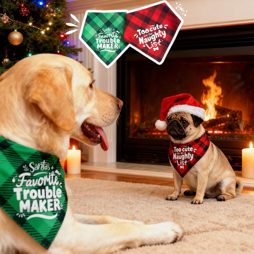 ICEMOOD giftable packaging bandana makes a thoughtful stocking stuffer.