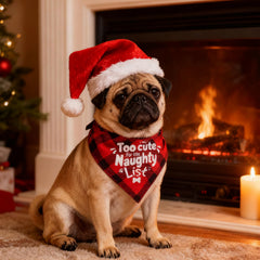 ICEMOOD gift-ready bandana ideal for stocking stuffers and pet gifts.