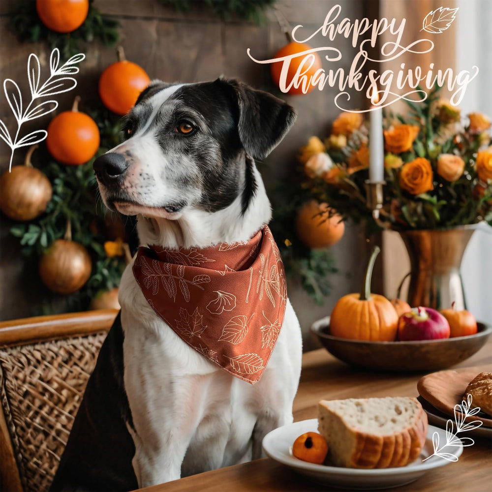 ICEMOOD Thanksgiving bandana ideal for festive walks and photos.