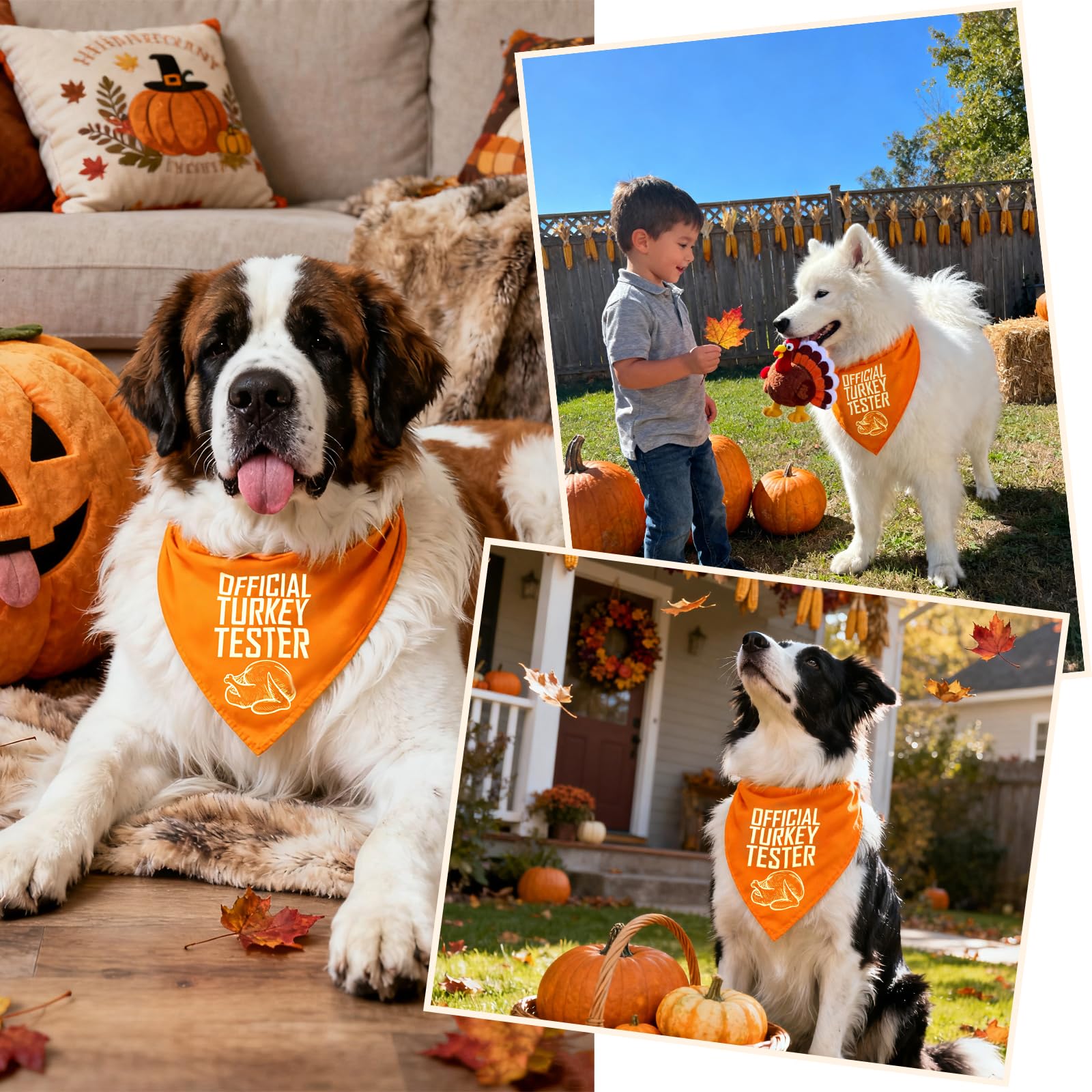 ICEMOOD triangle bandana illustrates versatile fit for medium to large dogs.