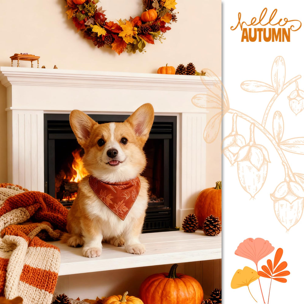 ICEMOOD triangle scarf fits medium to large dogs for comfortable accessory.