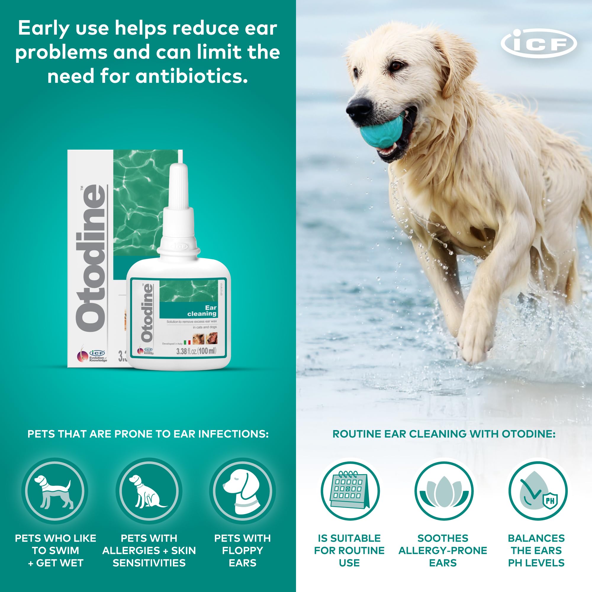 ICF Otodine deep canal flush removes hidden debris for healthier ears.