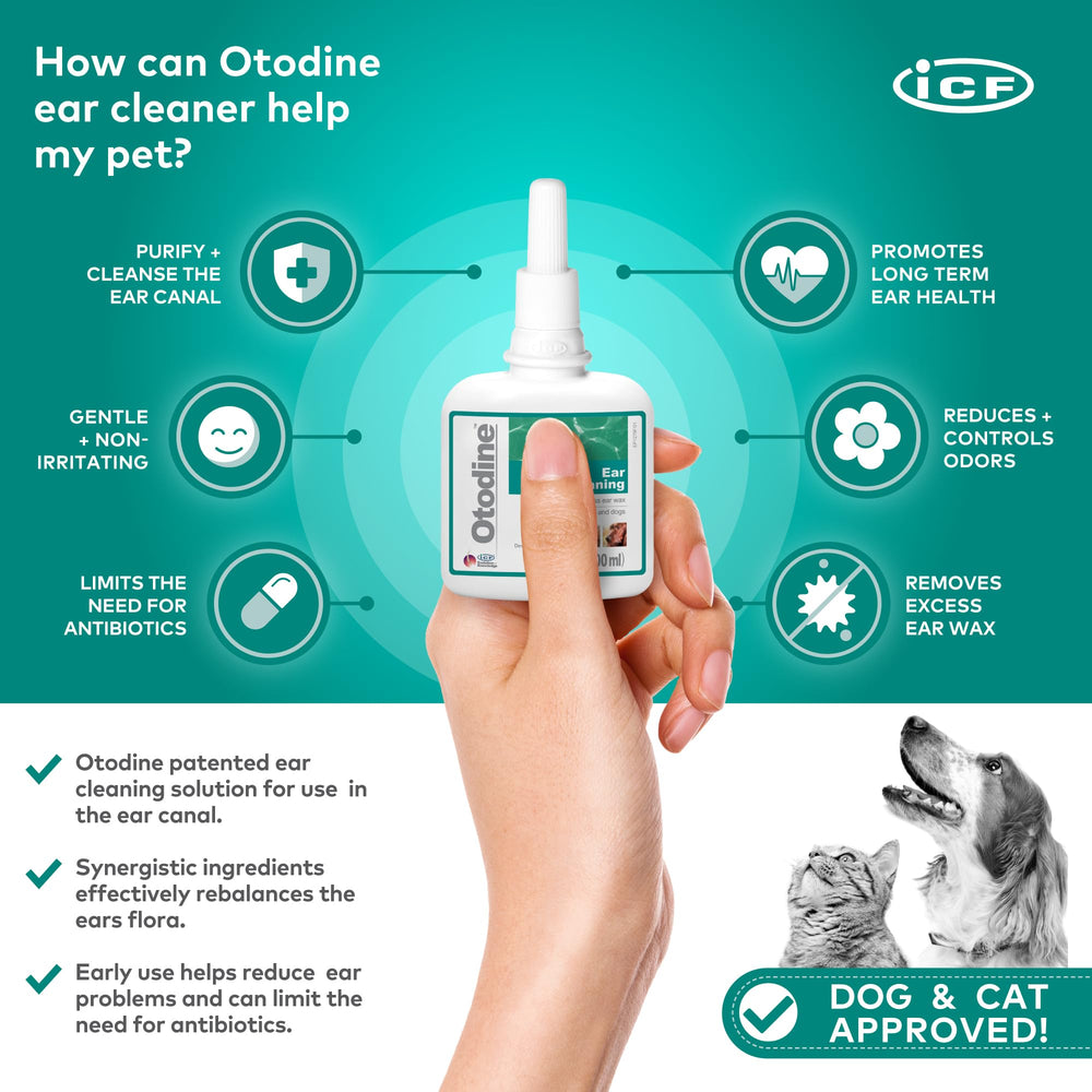 ICF Otodine ear application demonstrates easy canal flush for comfort.