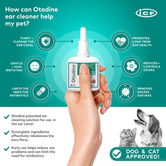 ICF Otodine ear application demonstrates easy canal flush for comfort.