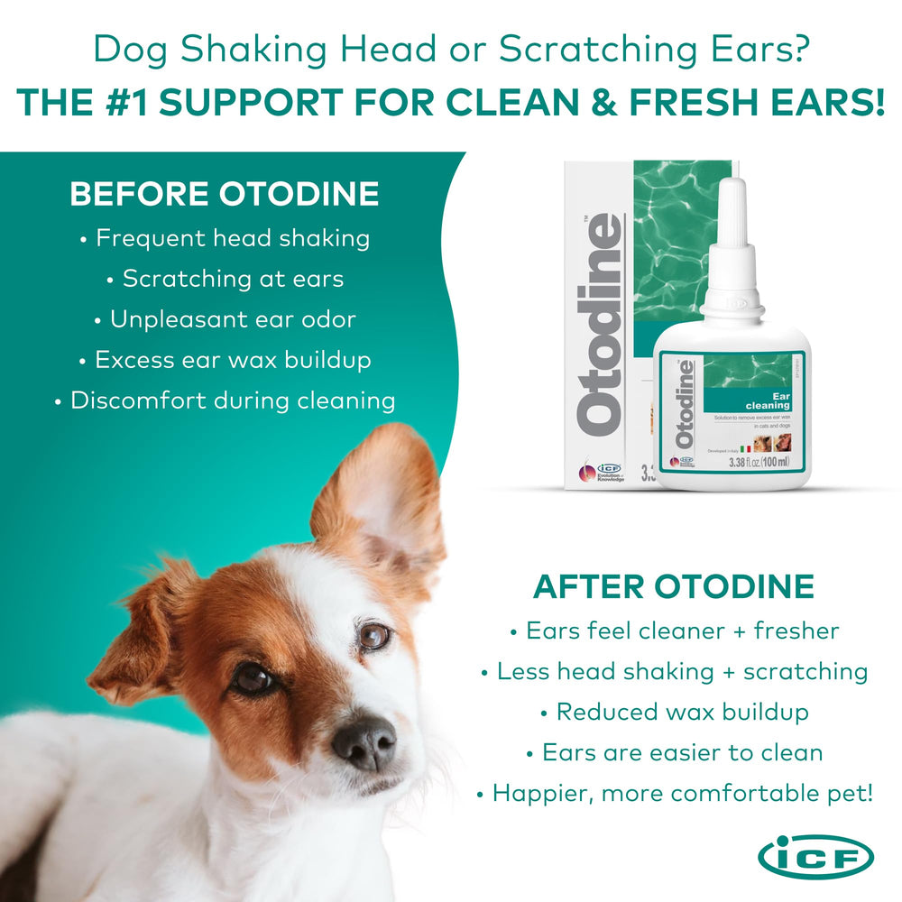 ICF Otodine odor-neutralization flush leaves ears smelling fresher.
