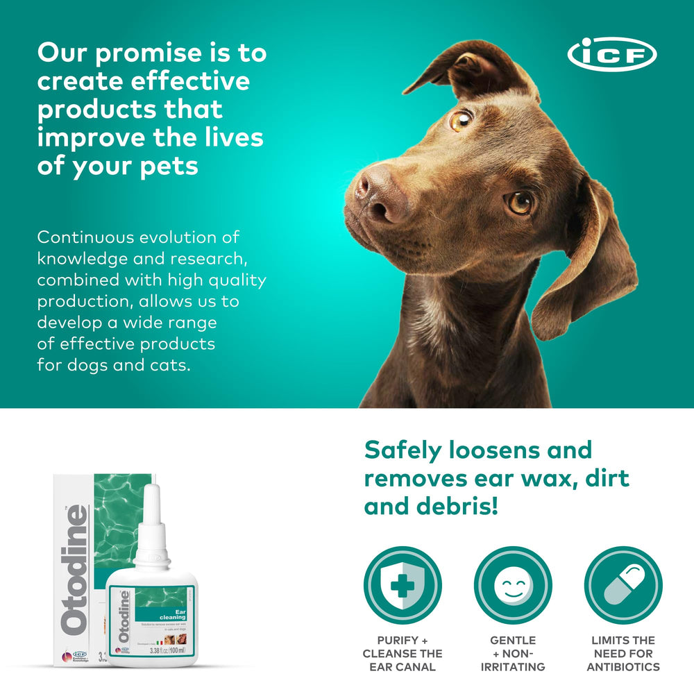 ICF Otodine pre-step usage clears wax for effective treatments.