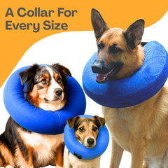 Iconikal adjustable strap ensures a secure fit for small dogs during recovery