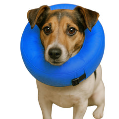 Iconikal inflatable dog recovery collar blue neck 8-12in protects wounds while allowing eating