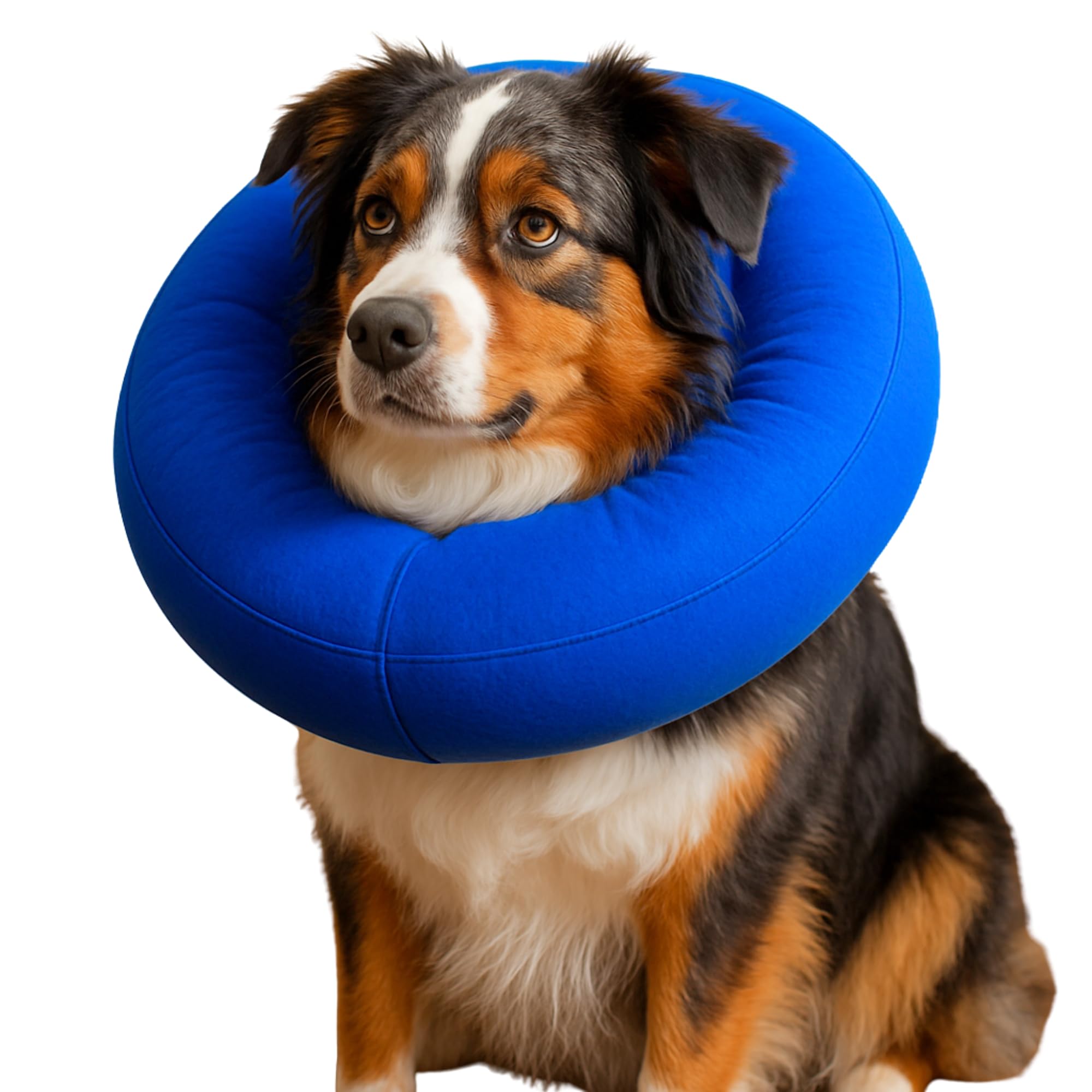 Iconikal inflatable dog recovery collar blue side view supports gentle movement during recovery