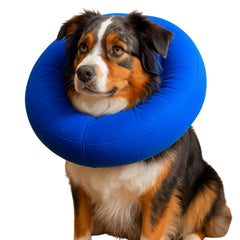 Iconikal inflatable dog recovery collar blue side view supports gentle movement during recovery