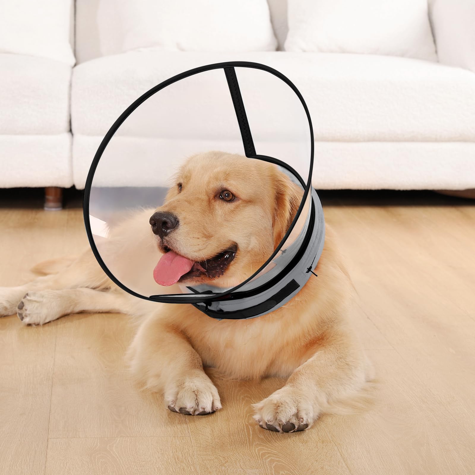 ICOYEA easy-clean removable cover demonstrates quick maintenance for busy pet owners.