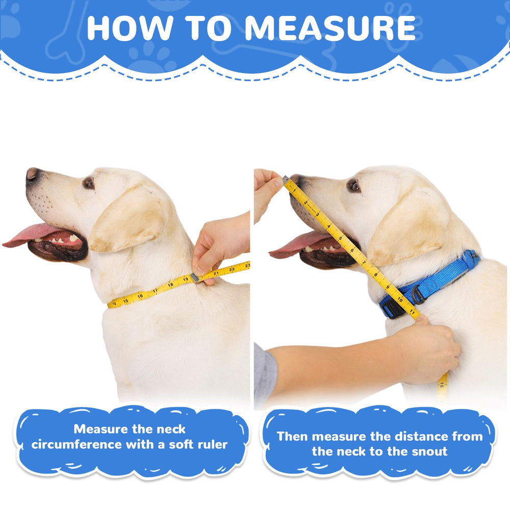 ICOYEA cone has inner elastic loops for extra placement security.