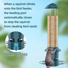 Icreer feeder is easy to fill and clean, bottom removable.