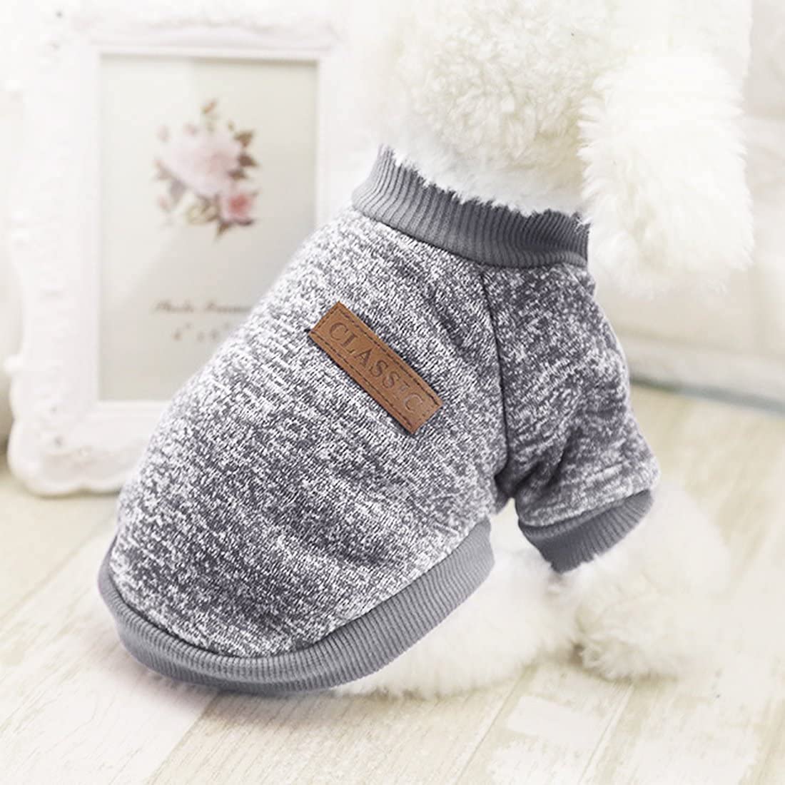 Idepet cat-dog wearing sweater cozy scene suggests everyday warmth
