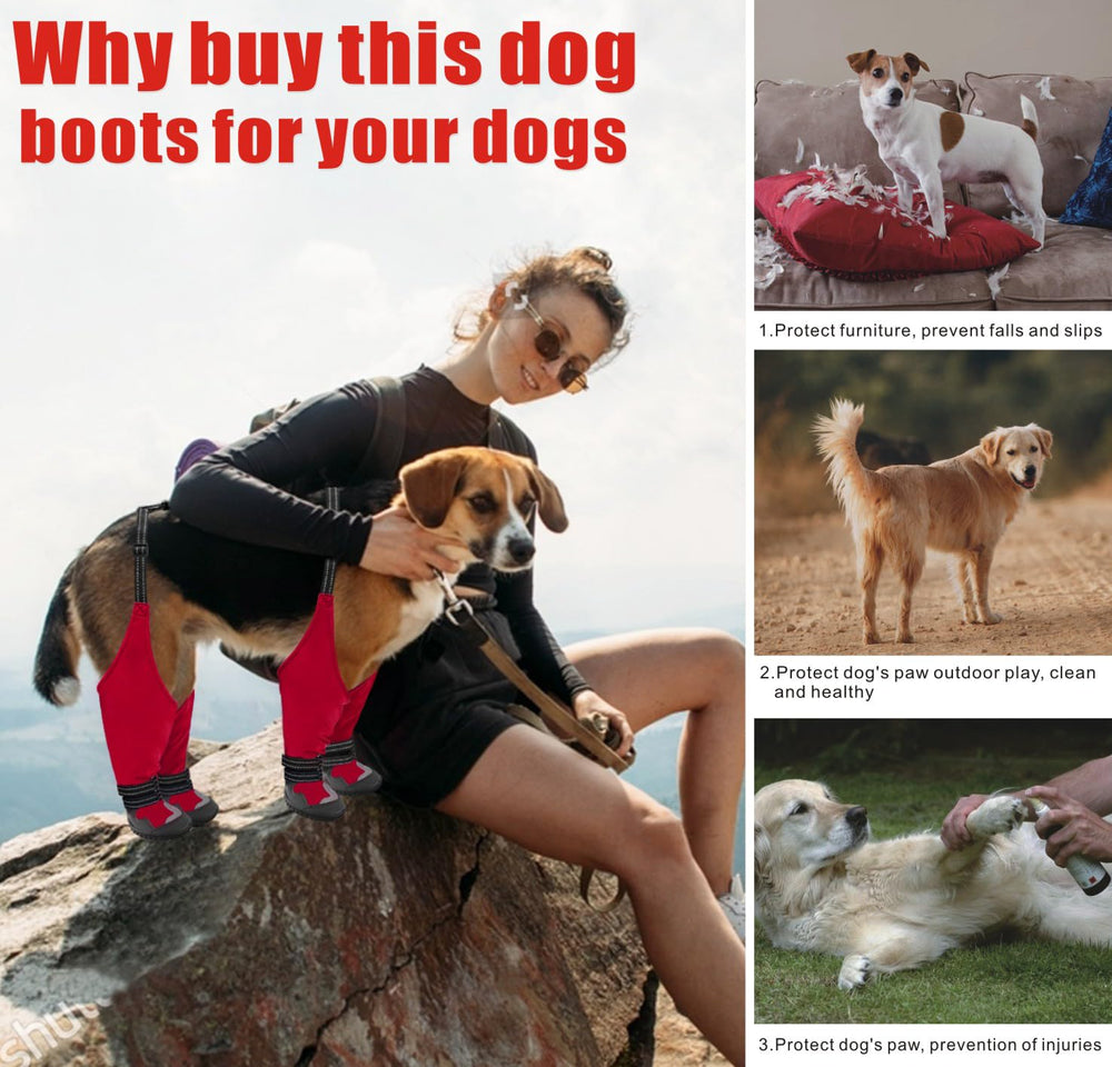 Idepet dog boots sizing and color options for year-round protection