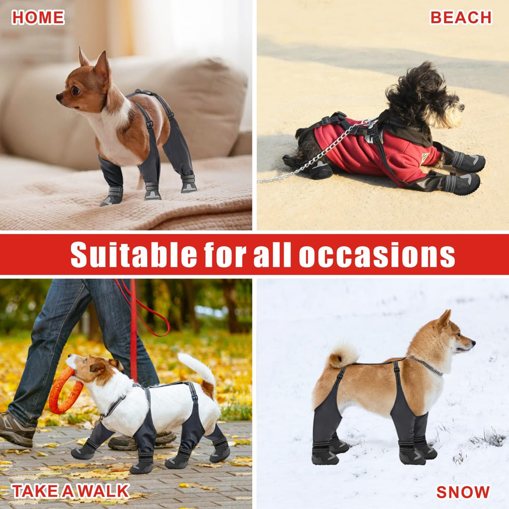 Idepet boots winter protection for paws on snow and ice