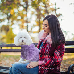 Idepet fleece dog sweater purple XL worn on dog with plush feel