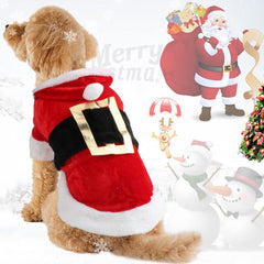 Idepet Santa Dog Costume on dog—cute holiday outfit for photos and parties.