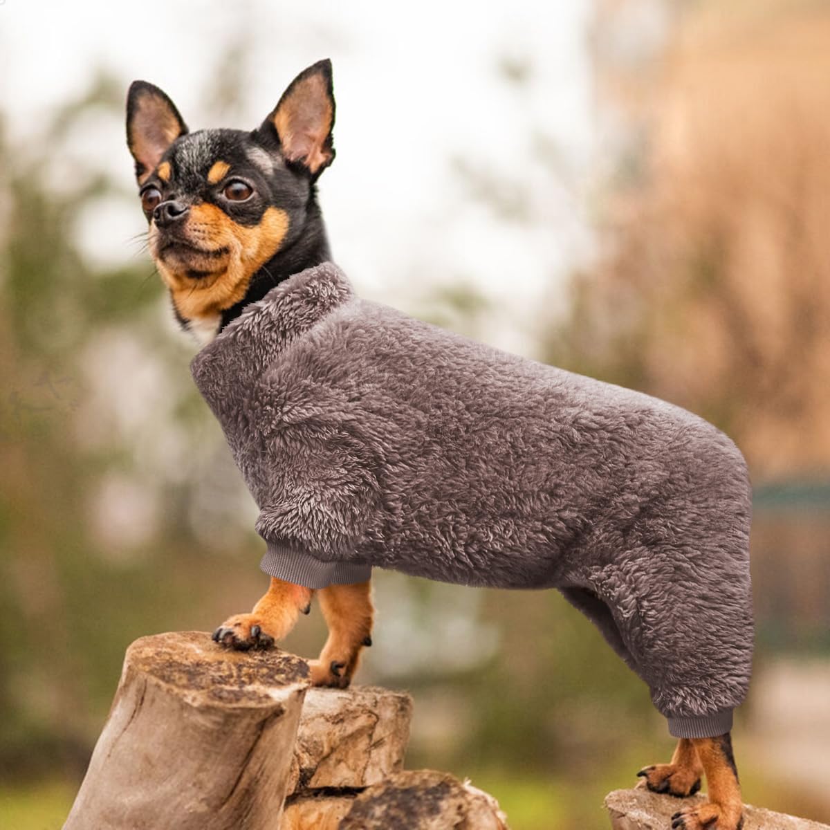 Idepet velvet dog pajamas 4-legs design, full coverage for chilly days.