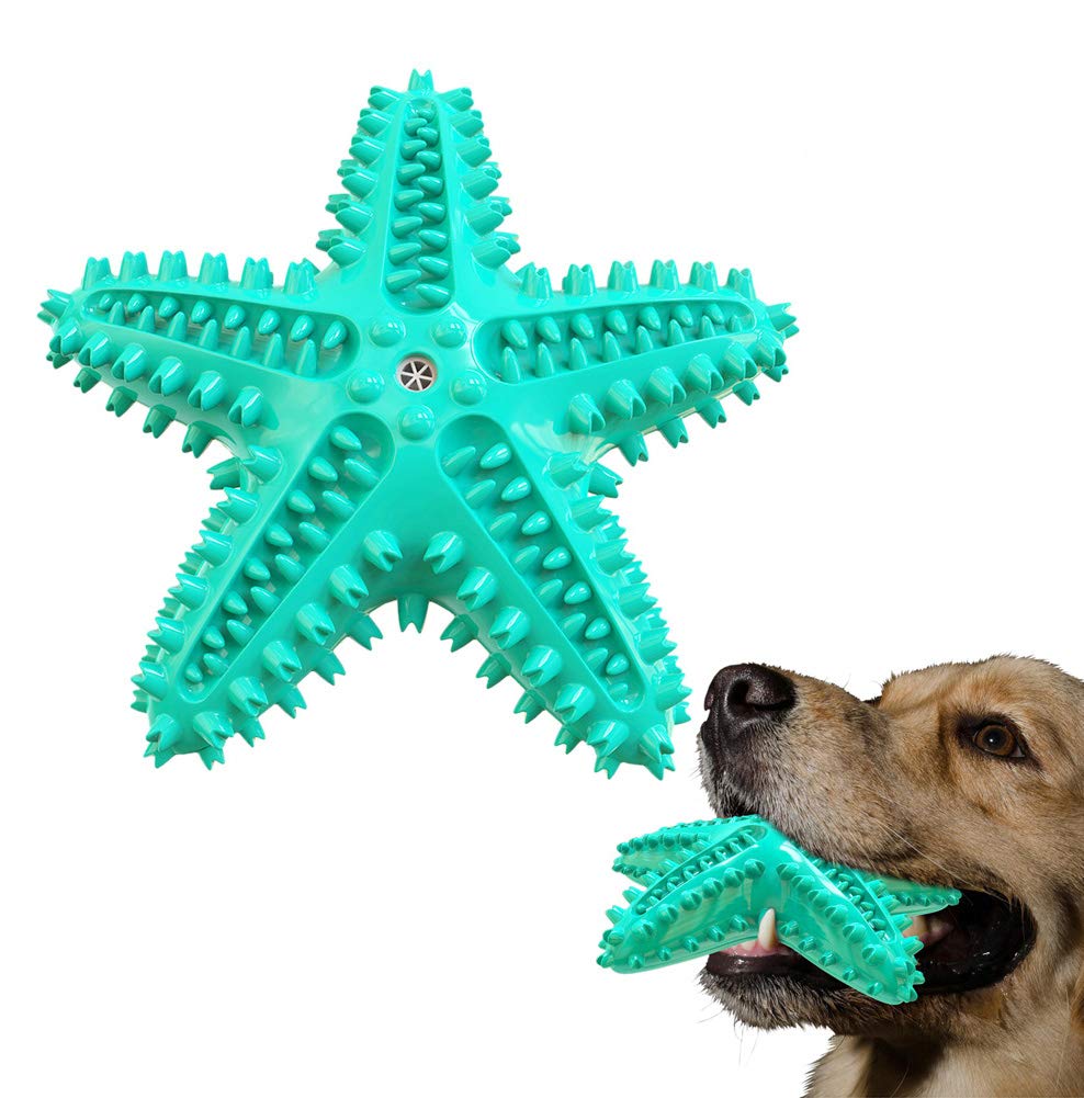 IDOLPET squeaky starfish blue toy on a dog for interactive fetch