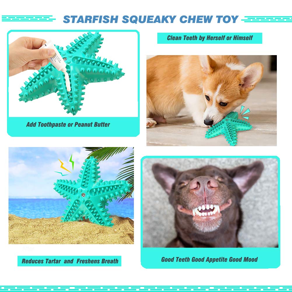 IDOLPET blue starfish toy at the beach for outdoor play