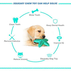 IDOLPET starfish blue dental toy with grooves for gum massage